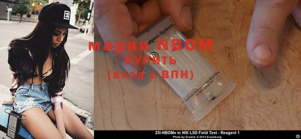 стаф Тавда