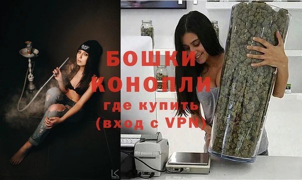 шишки Волосово