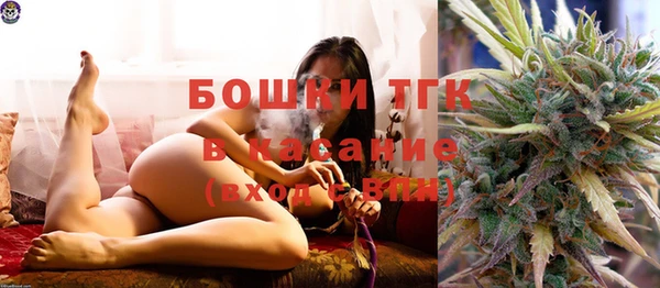 шишки Волосово