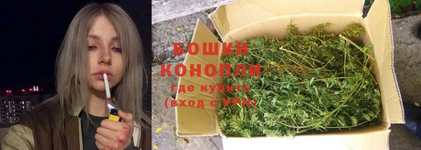 шишки Волосово